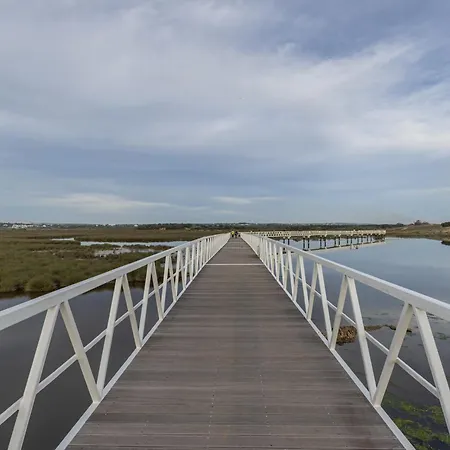 Bayline Iv *